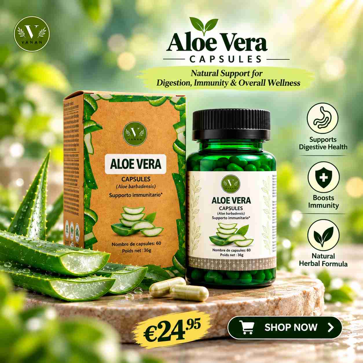 aloe vera image_11zon