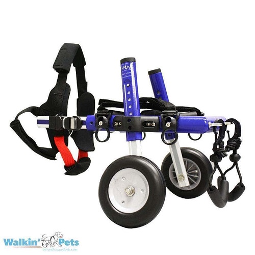 Dog Wheelchair UK