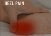 best pain management physician